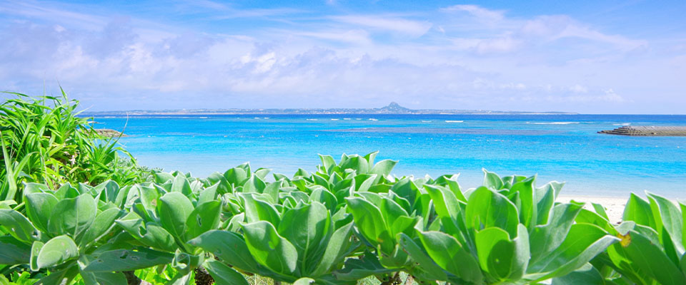 スタッフおすすめビーチ